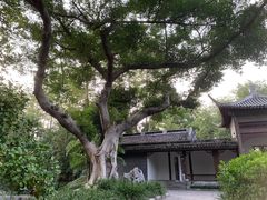 -柳侯公园