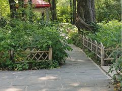 -黑龙江省森林植物园