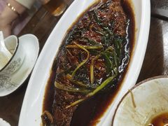 -协和菜馆(凤凰街店)