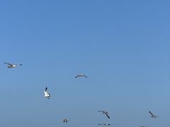 -星海广场