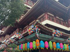 -新加坡佛牙寺龙华院
