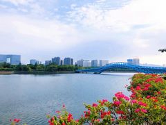 -五缘湾湿地公园