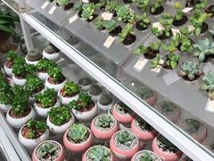 -KKV(重庆东原悦荟主力店)