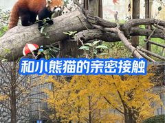 -杭州少年儿童公园