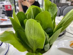 -一代菌王·竹荪鹅(江苏旗舰店)