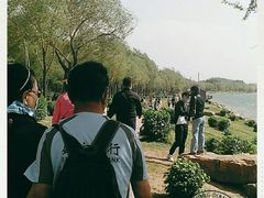 -丁香湖公园