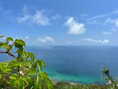 -海南铜鼓岭景区