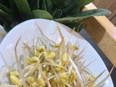 -傣妹火锅(南京东路一店)