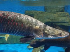 -石林冰雪海洋世界