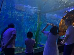 -锦艺城海洋馆