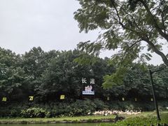 -广州长隆飞鸟乐园