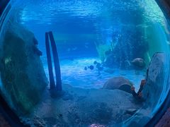 -沈阳海洋探索中心