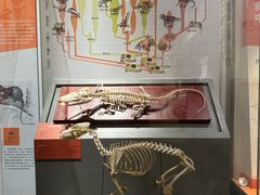 -国家自然博物馆