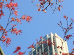 -红星桥(地铁站)