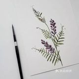 她画的水彩花卉🌺晶莹剔透～