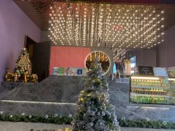 -花隐·美芙炫海菲秀皮肤管理中心