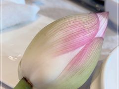 -木守西溪溪隐餐厅