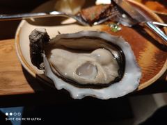 法国马恩河吉拉多-Osteria Garden 生蚝花园餐厅(原进贤路店)
