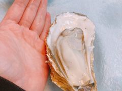 至尊桑拿蚝-天宝食坊·啫啫煲大排档(西华路店)