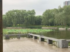 -望湖公园