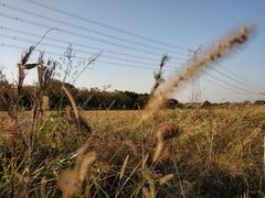 -梁鸿国家湿地公园