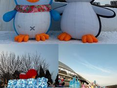 -沈阳奥体冰雪嘉年华