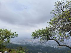 -广州市白云山风景名胜区