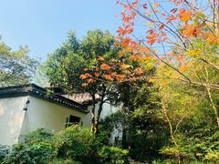 -法云古村