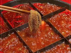 -矮板凳老火锅(宽窄巷子店)