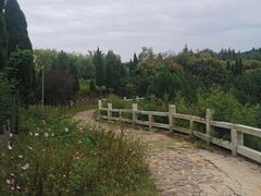 -黄河小浪底水利枢纽风景区