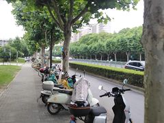 -华东师范大学第二附属中学(张江校区)