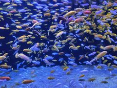 -成都浩海立方海洋公园