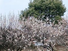 -白马涧龙池景区