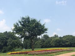 石象湖-保利石象湖景区