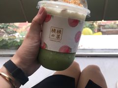 抹茶星冰乐-有猫主题·治愈系猫咖(曾厝垵店)
