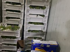 -江杨农产品批发市场