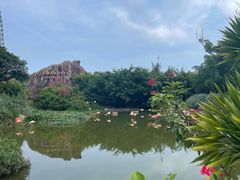-芽庄珍珠岛游乐园