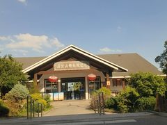 -太湖游船(石公山码头)