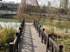 -洋湖国家湿地公园