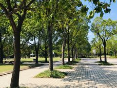 -新江湾城公园
