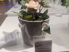 -宜家家居(哈尔滨商场店)