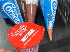 -新加坡瑞士史丹福酒店