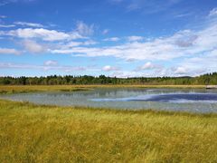 -塞罕坝国家级自然保护区
