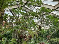 -昆明植物园