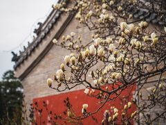 -潭柘寺景区