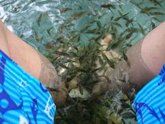 -黄山温泉国际旅游度假区