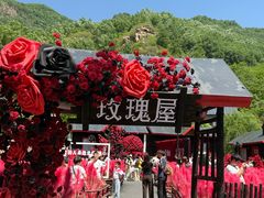 -爱情山风景区