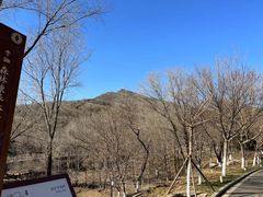 -北京西山国家森林公园