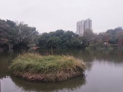 -人民公园(罗湖区)