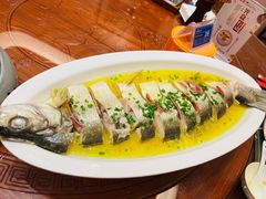 -鲁宴·鲁煨黄河生态大鲤鱼(月坛店)